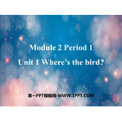 《Where's the bird?》PPT免费课件