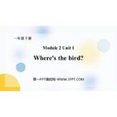 《Where's the bird?》PPT课件下载