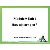 《How old are you?》PPT精品课件下载