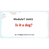 《Is it a dog?》PPT免费课件