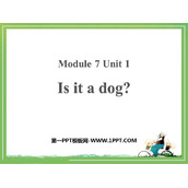 《Is it a dog?》PPT课件下载