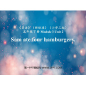 《Sam ate four hamburgers》PPT免费课件