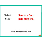 《Sam ate four hamburgers》PPT优质课件