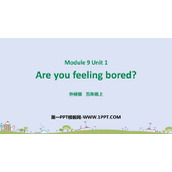 《Are you feeling bored?》PPT免费下载