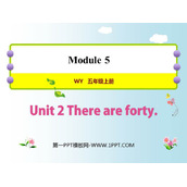 《There are forty》PPT免费课件