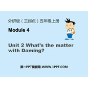 《What's the matter with Daming?》PPT免费下载