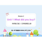 《What did you buy?》PPT优秀课件