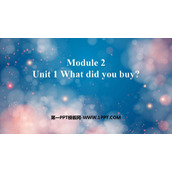 《What did you buy?》PPT优质课件