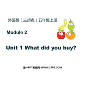 《What did you buy?》PPT精品课件
