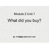 《What did you buy?》PPT免费课件
