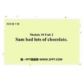 《Sam had lots of chocolates》PPT优秀课件