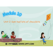 《Sam had lots of chocolates》PPT免费下载