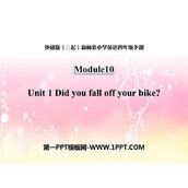 《Did you fall off your bike?》PPT免费课件