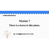 《There is a horse in this photo》PPT优秀课件