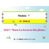 《There is a horse in this photo》PPT优质课件