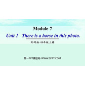 《There is a horse in this photo》PPT免费下载