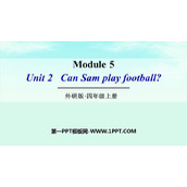 《Can Sam play football?》PPT免费下载