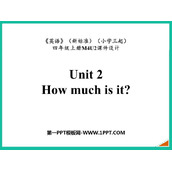 《How much is it?》PPT免费下载
