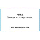 《She's got an orange sweater》PPT优质课件
