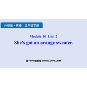 《She's got an orange sweater》PPT精品课件
