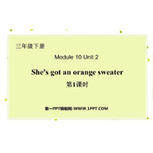 《She's got an orange sweater》PPT课件(第1课时)