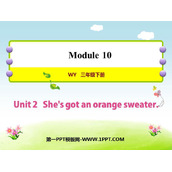 《She's got an orange sweater》PPT免费课件