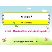 《Daming flies a kite in the park》PPT免费课件
