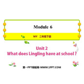 《What does Lingling have at school?》PPT精品课件