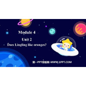 《Does Lingling like oranges?》PPT免费下载
