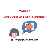 《Does Lingling like oranges?》PPT精品课件