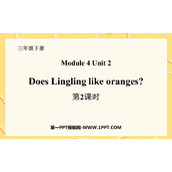 《Does Lingling like oranges?》PPT课件(第2课时)