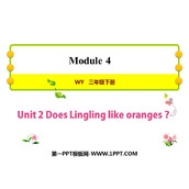 《Does Lingling like oranges?》PPT免费课件