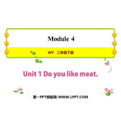 《Do you like meat?》PPT免费课件
