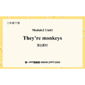 《They are monkeys》PPT课件(第2课时)