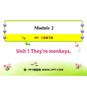 《They are monkeys》PPT免费下载