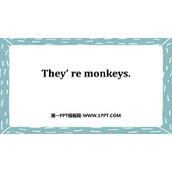 《They are monkeys》PPT免费课件
