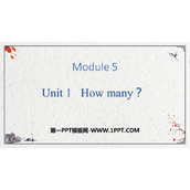 《How many?》PPT免费下载