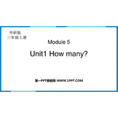 《How many?》PPT免费课件