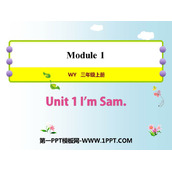 《I'm Sam》PPT免费下载