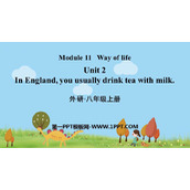 《In England you usually drink tea with milk》Way of life PPT优质课件