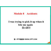 《I was trying to pick it up when it bite me again》Accidents PPT课件(第1课时)