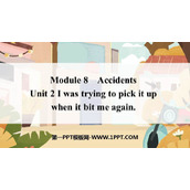 《I was trying to pick it up when it bite me again》Accidents PPT免费下载