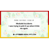 《I was trying to pick it up when it bite me again》Accidents PPT免费课件
