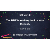 《The WWF is working hard to save them all》Animals in danger PPT优秀课件