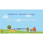 《It allows people to get closer to them》Animals in danger PPT免费课件