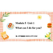《What can I do for you?》Shopping PPT优质课件