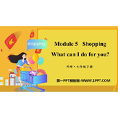 《What can I do for you?》Shopping PPT免费下载