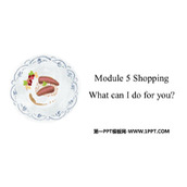 《What can I do for you?》Shopping PPT免费课件