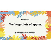 《We've got lots of apples》PPT优质课件