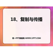 《复制与传播》PPT课件下载
